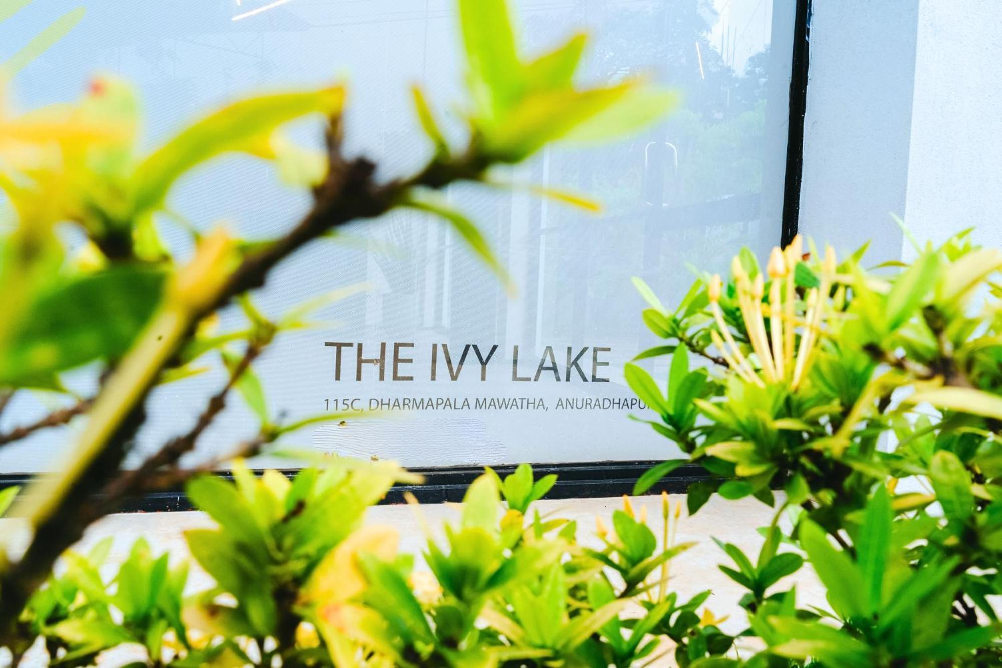 The Ivy Lake أنرادابورام المظهر الخارجي الصورة